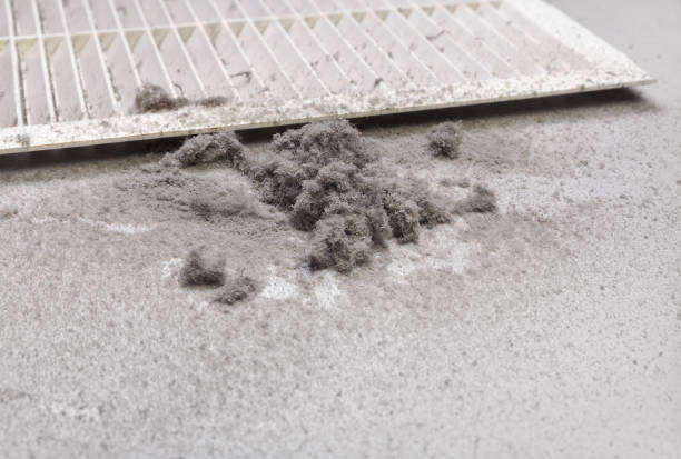 Best Professional Duct Cleaning Services  in Radium Springs, NM