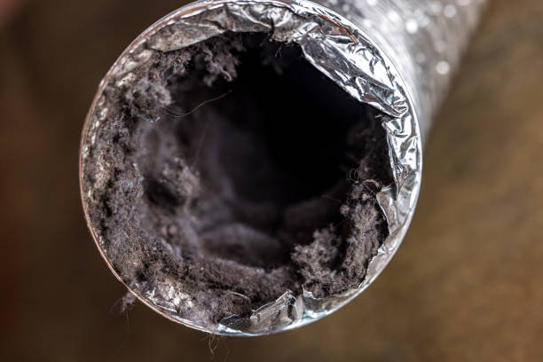 Best Commercial HVAC Duct Cleaning  in Radium Springs, NM